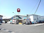 【ホームセンター】コメリ敷島店まで900ｍ