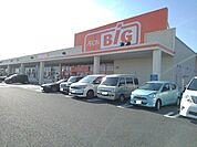 【スーパー】ザ・ビッグ白根店まで2500ｍ