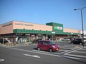 【スーパー】フレッセイ石原店まで666ｍ