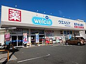 【ドラッグストア】ウエルシア甲府武田店まで800ｍ