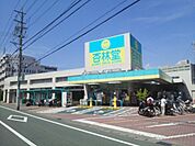 【ドラッグストア】杏林堂浜松城北まで800ｍ