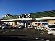 【ドラッグストア】ウェルパーク厚木三田店まで653ｍ