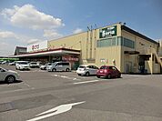 【スーパー】ピアゴ　東刈谷店まで1100ｍ