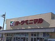 【スーパー】ヨークベニマルまで1319ｍ