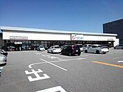 【ドラッグストア】カワチ薬品甲府中央店まで600ｍ