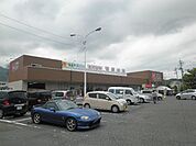 【スーパー】ヒバリヤ新鮮市場高部店まで340ｍ