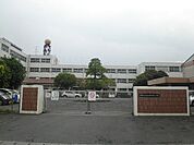 【小学校】静岡市立清水高部東小学校まで266ｍ