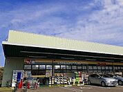 【ドラッグストア】ジャパン 京都南店まで500ｍ