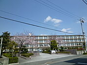 【中学校】浜松市立開成中学校まで1327ｍ