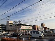【ショッピングセンター】アピタ安城南店まで4100ｍ