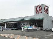 【ホームセンター】コメリまで900ｍ