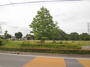 【公園】中央公園まで300ｍ