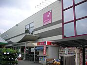 【ホームセンター】ホームセンターカンセキ駅東店まで1300ｍ