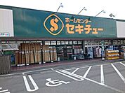 【ホームセンター】セキチュー安中店まで1300ｍ