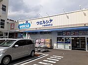 【ドラッグストア】ウエルシア寿町店まで800ｍ