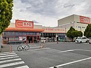 【スーパー】ザ・ビッグ甲府和戸店まで1100ｍ