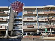 【小学校】宇都宮市立富士見小学校まで550ｍ