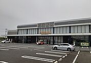 蘆屋書店川島インター店まで580ｍ