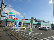 【ドラッグストア】ドラッグスギヤマ神の倉店まで734ｍ