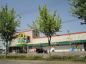 【ドラッグストア】ダックス西京上野橋店まで293ｍ