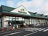 周辺：【スーパー】マルエツ市川菅野店まで650ｍ