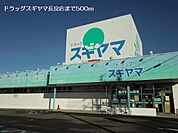 【ドラッグストア】ドラッグスギヤマ長良店まで500ｍ