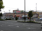 【スーパー】エコスTAIRAYA武蔵藤沢店まで842ｍ