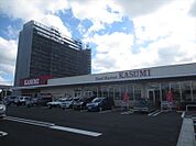 【スーパー】カスミ柏たなか駅前店まで290ｍ