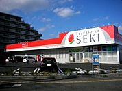 【ドラッグストア】ドラッグストアセキ柏たなか店まで887ｍ
