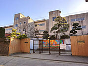 【中学校】柏市立松葉中学校まで878ｍ