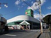 【スーパー】マルエツ伊奈店まで1300ｍ