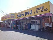 【スーパー】パワーセンターうおかつ安中店まで1000ｍ