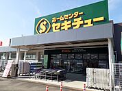【ホームセンター】セキチュー高崎店まで750ｍ