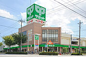 【スーパー】サミットストア戸田公園駅店食品館まで797ｍ
