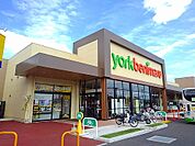 【スーパー】ヨークベニマル上厚崎店まで3000ｍ