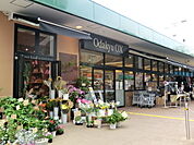 【スーパー】OdakyuOX小田原店まで388ｍ