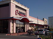 【スーパー】遠鉄ストアフードワン鴨江店まで678ｍ
