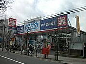 【ドラッグストア】ウエルシア薬局板橋赤塚店まで876ｍ