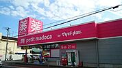 【ドラッグストア】petit madocaまで480ｍ