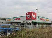 【ドラッグストア】スギ薬局味美店まで1124ｍ