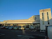 【スーパー】ユーコープ緑ヶ丘店まで508ｍ