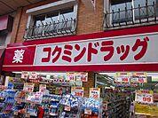 【ドラッグストア】コクミンドラッグ武蔵小山パルム店まで354ｍ