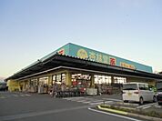 【ドラッグストア】杏林堂スーパードラッグストア掛川花鳥園前まで879ｍ