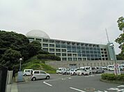 【市役所・区役所】掛川市役所まで120ｍ