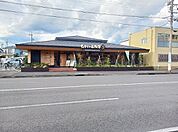 【その他】むさしの森珈琲静岡千代田店まで350ｍ