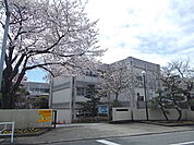 【小学校】千波小学校まで1000ｍ