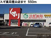 【ドラッグストア】スギ薬局鷺山店まで550ｍ