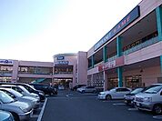 【ショッピングセンター】フレスポ静岡まで1300ｍ