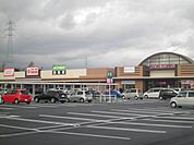【ショッピングセンター】菰野町イオンタウンまで3060ｍ