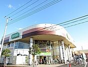【スーパー】コープ幸町店まで300ｍ